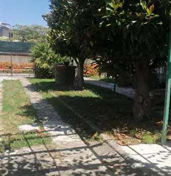 Foto annuncio 23
