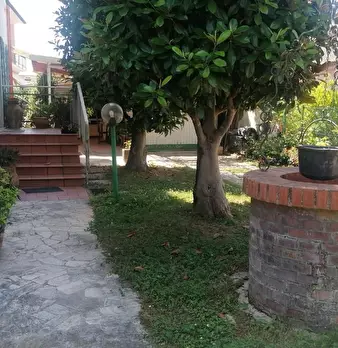 Foto annuncio 13