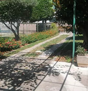 Foto annuncio 9