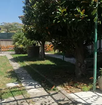 Foto annuncio 12