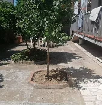 Foto annuncio 16