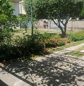 Foto annuncio 34