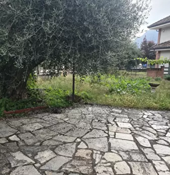 Foto annuncio 17