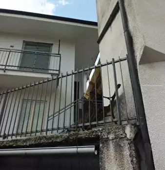 Foto annuncio 2