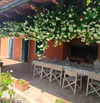 Foto annuncio 31