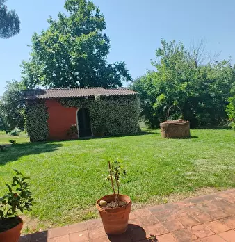 Foto annuncio 4