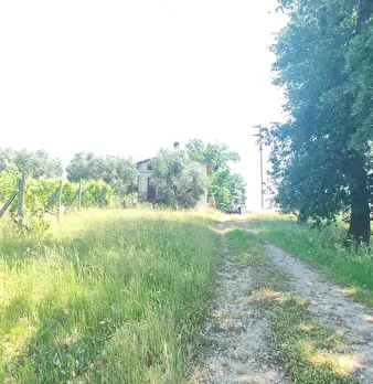 Foto annuncio 22