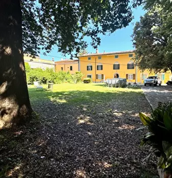 Foto annuncio 12