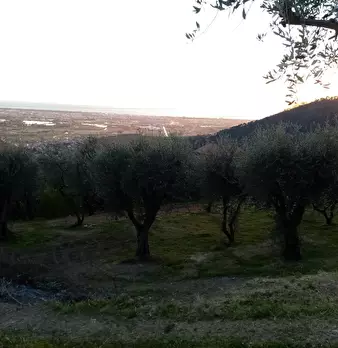 Foto annuncio 3
