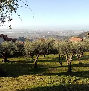 Foto annuncio 1