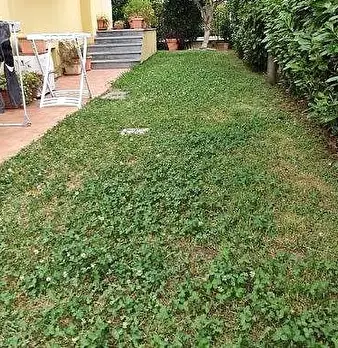 Foto annuncio 14