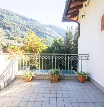 Foto annuncio 21