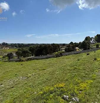 Foto annuncio 25