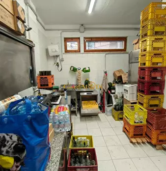 Foto annuncio 10