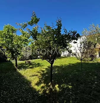 Foto annuncio 37