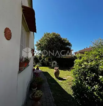 Foto annuncio 29