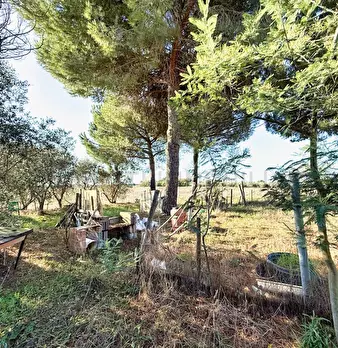 Foto annuncio 9