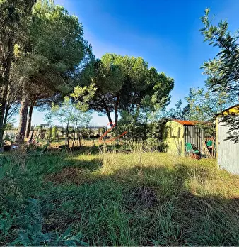 Foto annuncio 6
