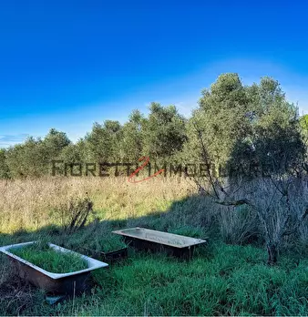 Foto annuncio 12