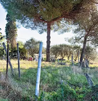 Foto annuncio 14