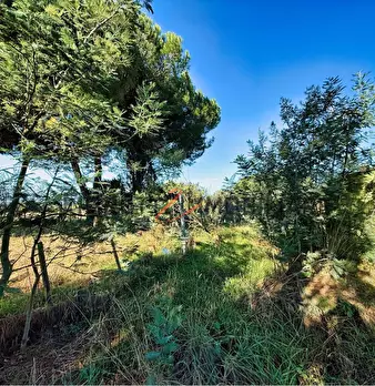 Foto annuncio 8