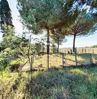 Foto annuncio 11