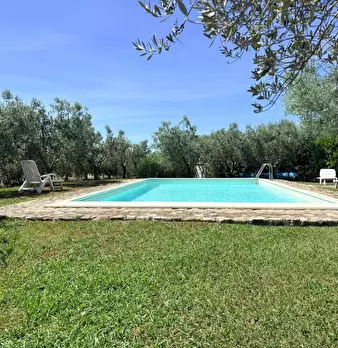 Foto annuncio 5