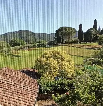 Foto annuncio 20