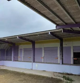 Foto annuncio 2