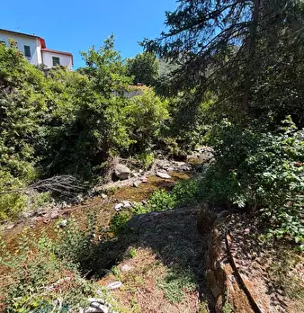 Foto annuncio 26