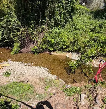 Foto annuncio 29