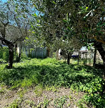 Foto annuncio 28