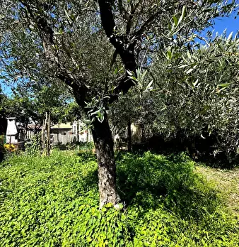 Foto annuncio 27