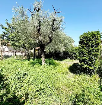 Foto annuncio 26