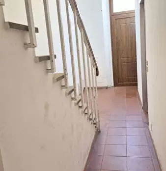 Foto annuncio 68