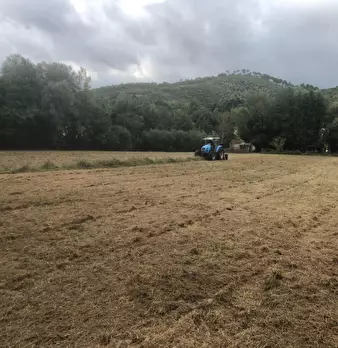 Foto annuncio 13