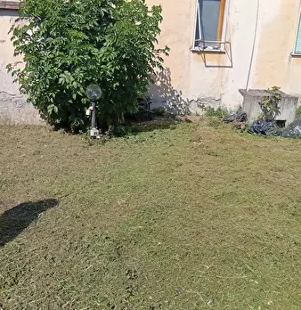 Foto annuncio 9
