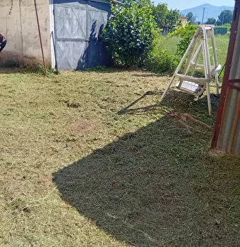 Foto annuncio 8