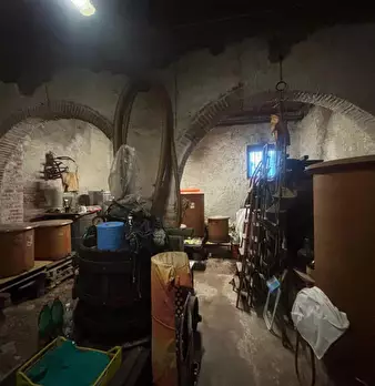 Foto annuncio 13