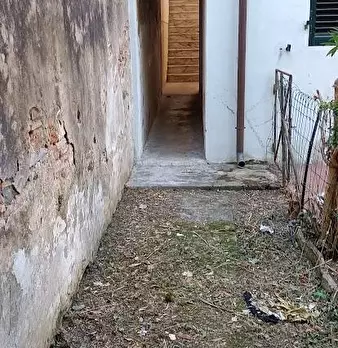 Foto annuncio 14