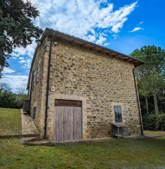 Foto annuncio 10