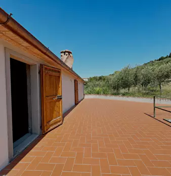 Foto annuncio 6