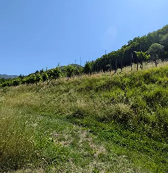 Foto annuncio 34