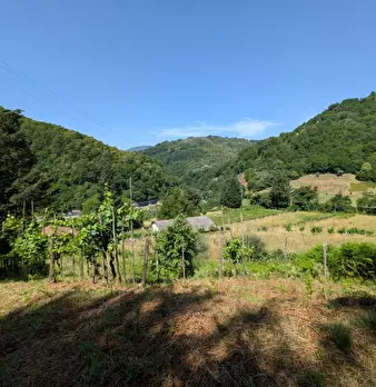 Foto annuncio 41