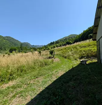 Foto annuncio 33