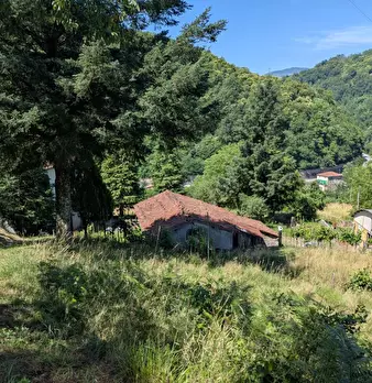 Foto annuncio 40