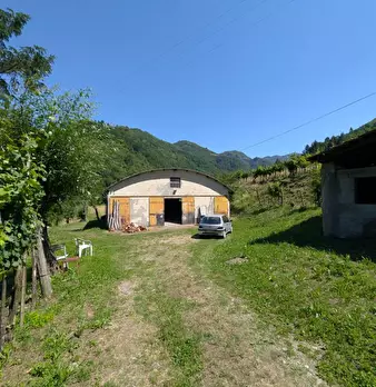 Foto annuncio 31