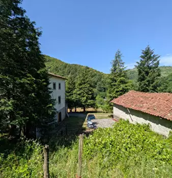Foto annuncio 38