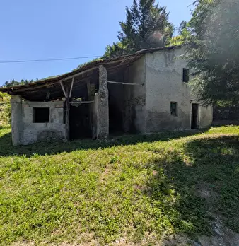 Foto annuncio 29