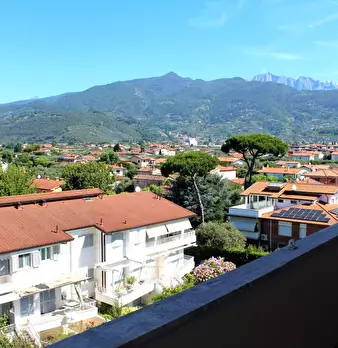 Foto annuncio 45